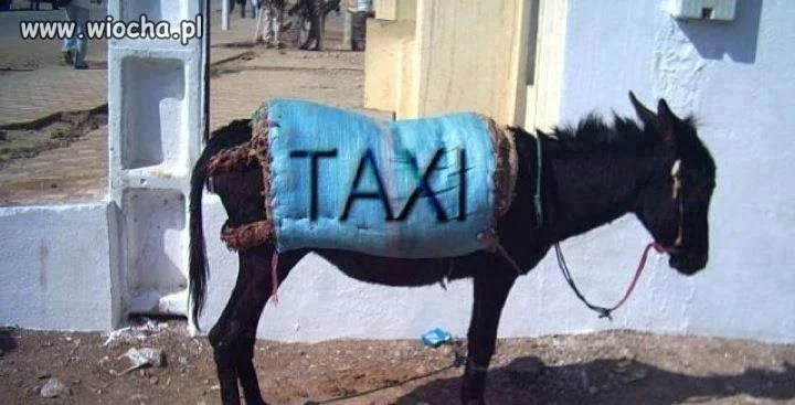 Taxi ekologiczne.