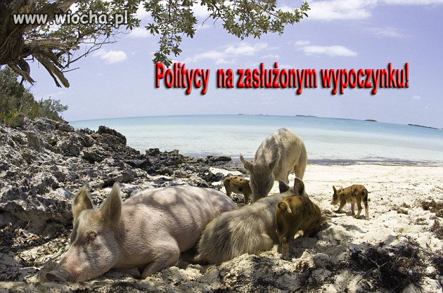 Politycy na wakacjach