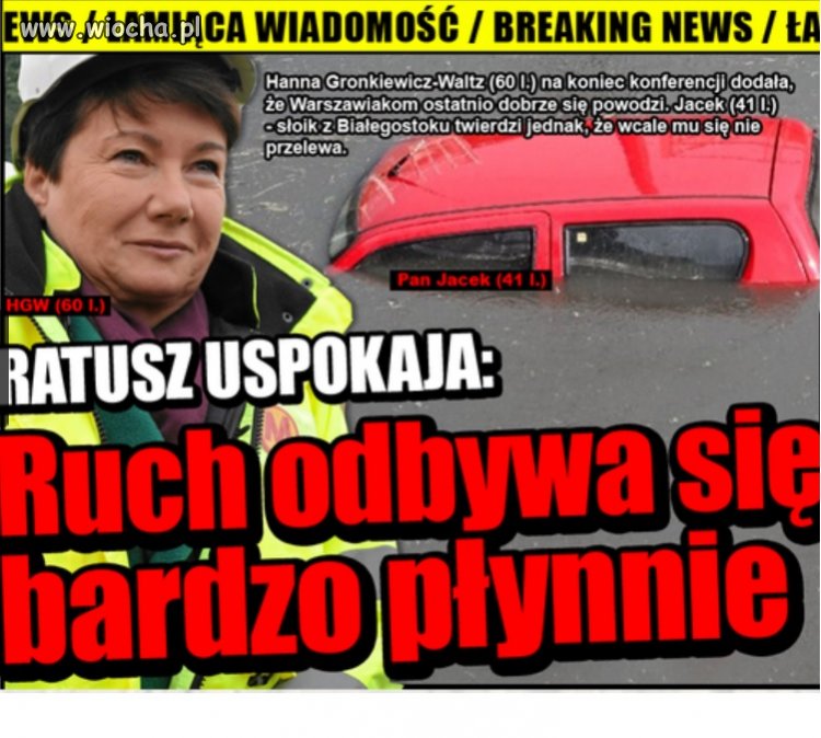 Płynny ruch