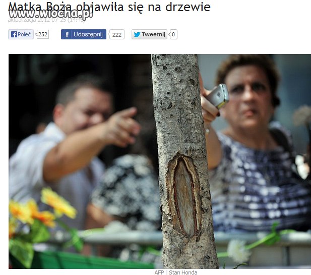 Matka Boża z New Yersey 