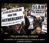 Niestety ale taka jest prawda