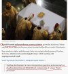 Polski kościół