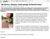 Prezydent Piotrkowa Trybunalskiego