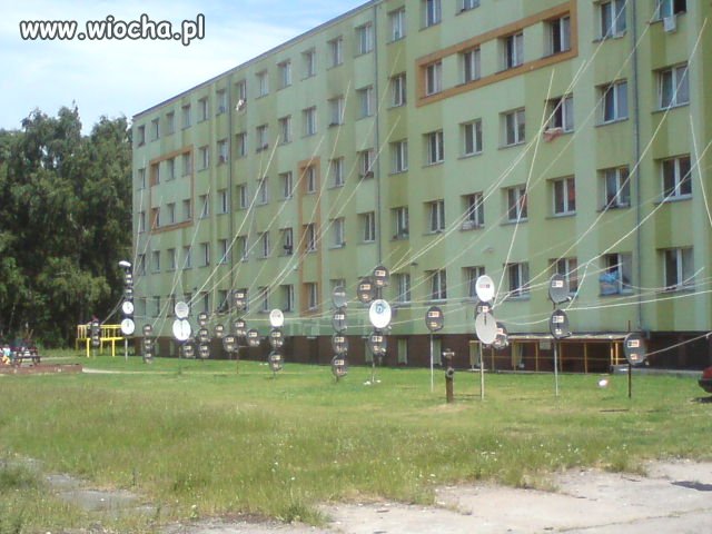 Polak Potrafi