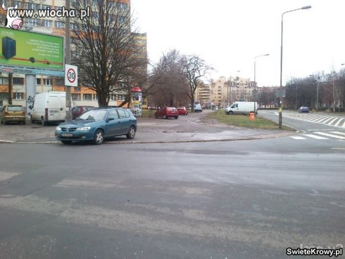 Mistrz parkowania 