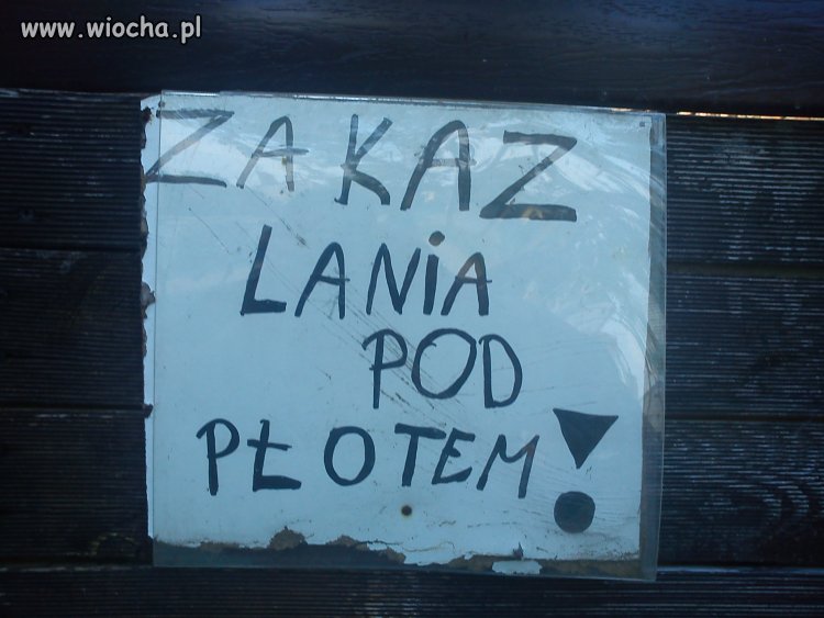Zakaz lania pod płotem