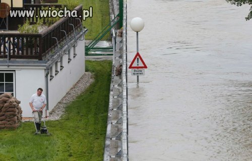 Trawę trzeba skosić