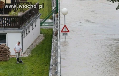 Trawę trzeba skosić