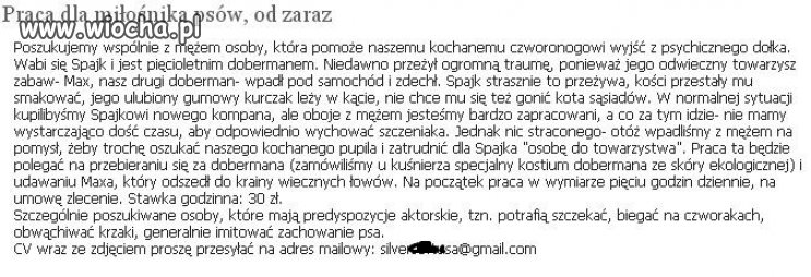 Praca od zaraz.