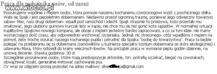 Praca od zaraz.