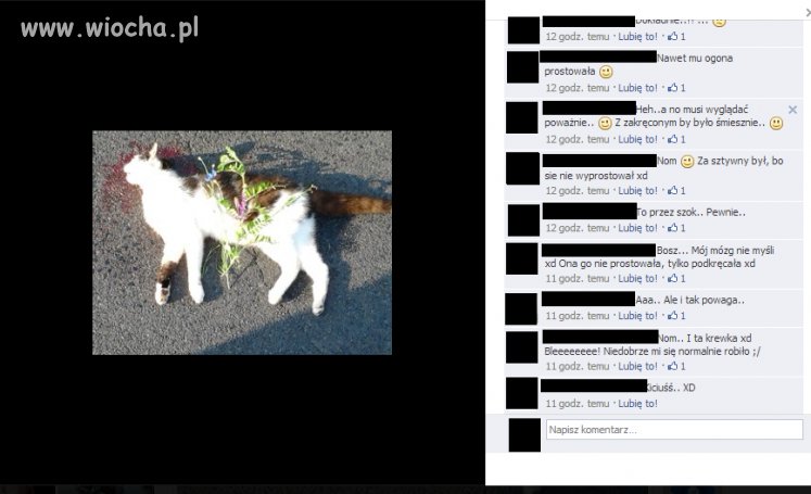 Polskie nastolatki...