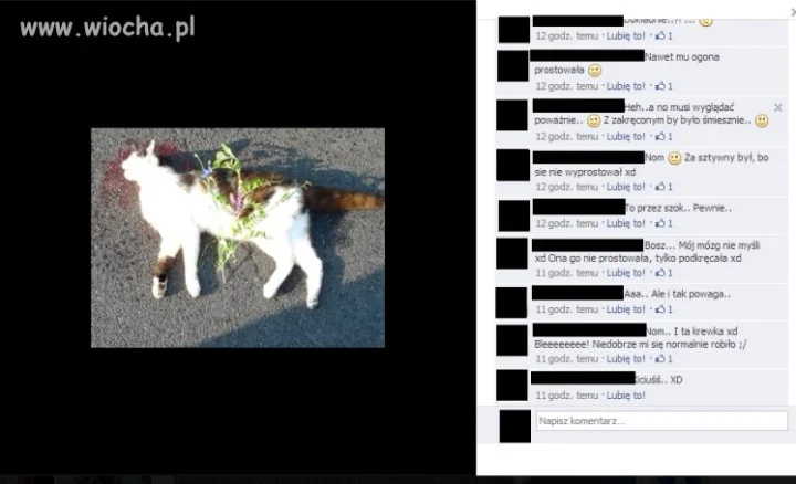 Polskie nastolatki...