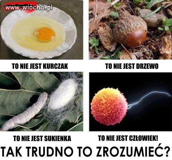 To nie jest człowiek.  