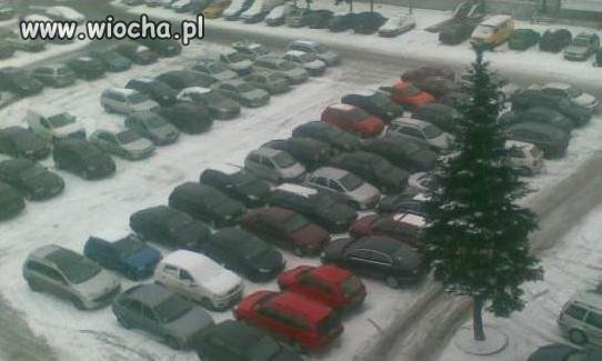 Zdjęcie z cyklu