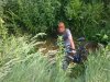 To się nazywa powrót do domu!