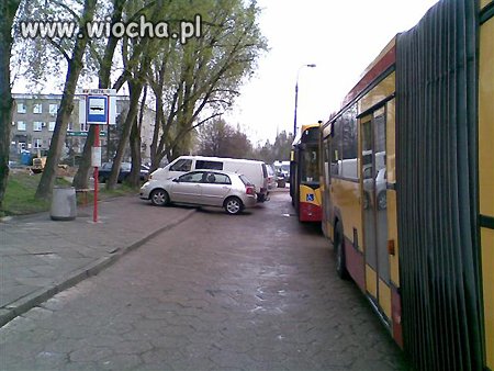 Tak parkują największe wieśniaki...