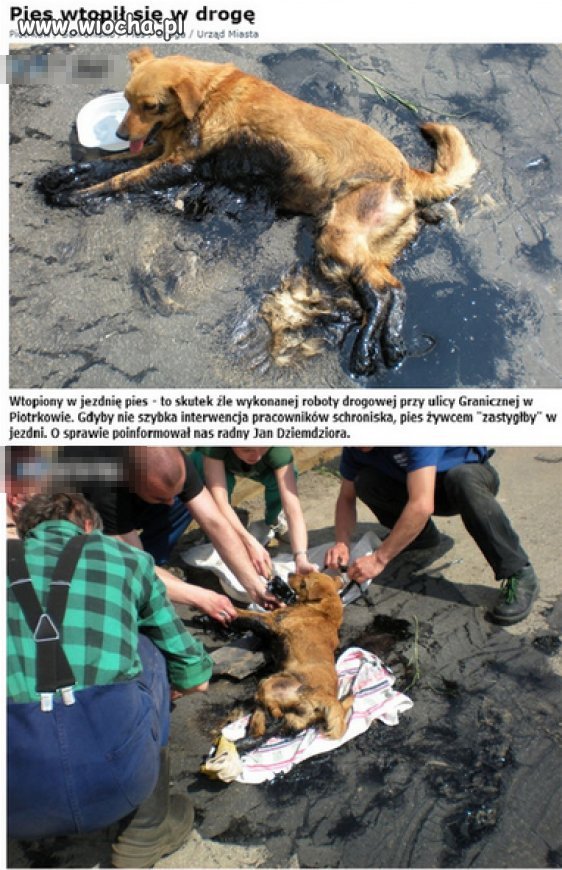 Przez fuszerkę drogowców.