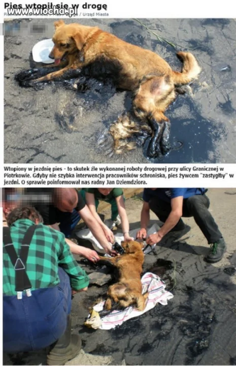 Przez fuszerkę drogowców.
