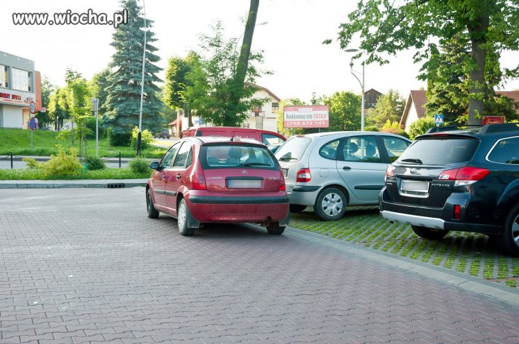 Z cyklu