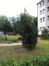 Nowoczesna sztuka krajobrazu prezesa wspólnoty