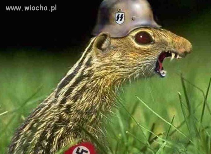 Wujek Sebek jest wk...