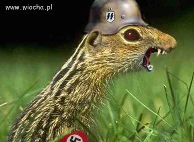 Wujek Sebek jest wk...
