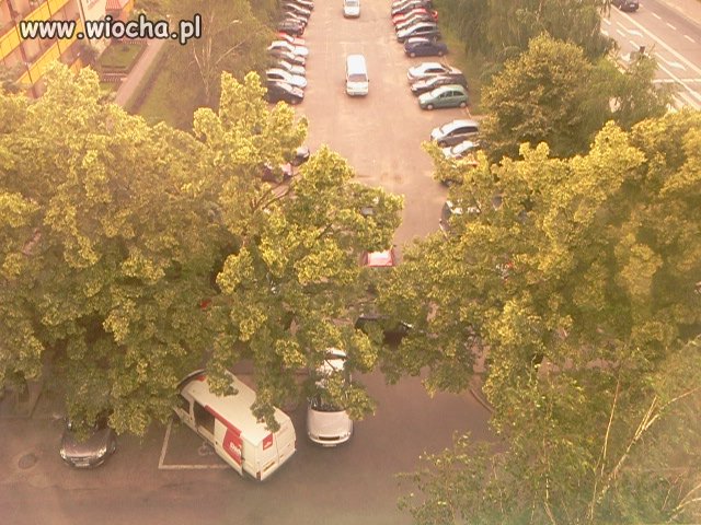Niepełnosprawna