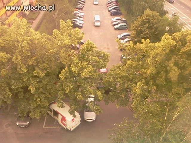 Niepełnosprawna
