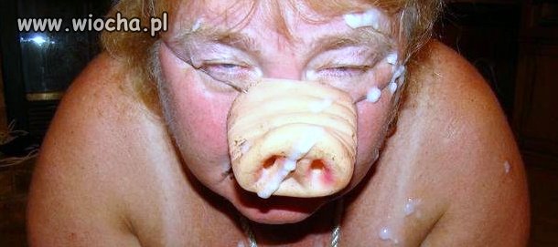 Prawie jak prawdziwe prosię