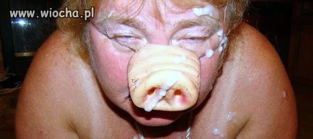 Prawie jak prawdziwe prosię