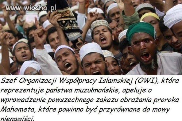 I oni mają czelność mówić o nienawiści?