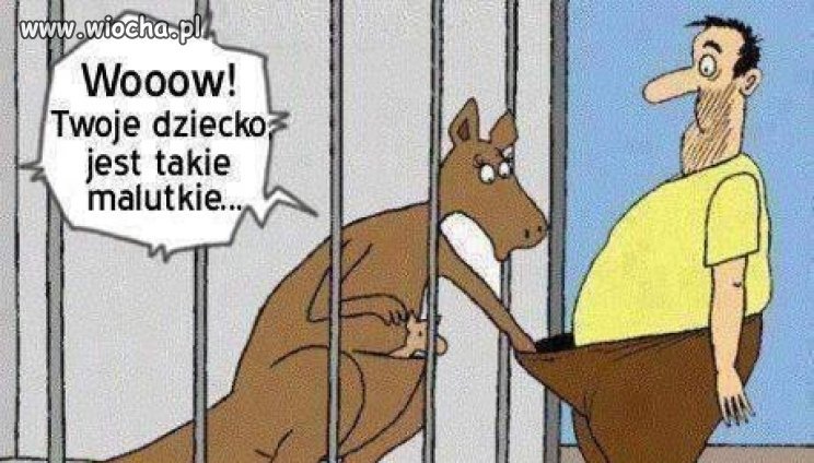 Wizyta w zoo