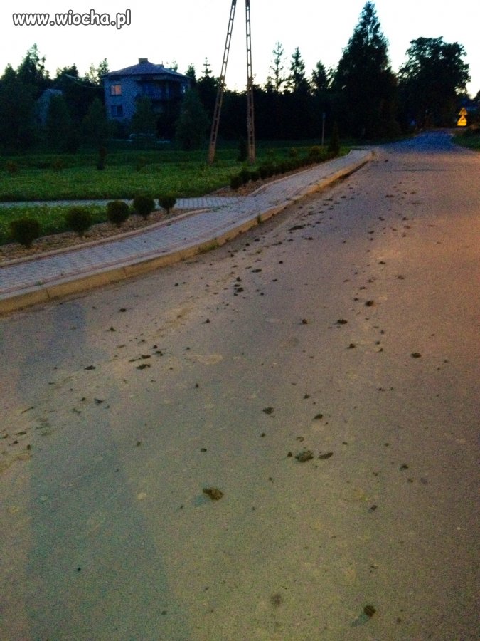 Ciekawe czy taki syf pozostawia po sobie w domu?