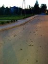 Ciekawe czy taki syf pozostawia po sobie w domu?