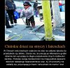 Dzieci na smyczy i łańcuchach