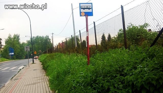 Przystanek autobusowy