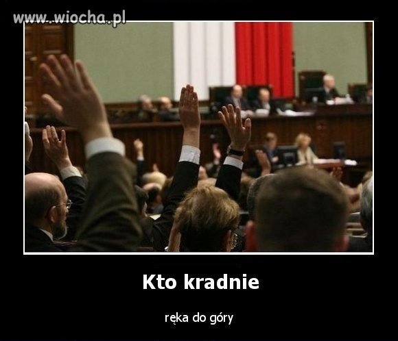 Kto kradnie? To już wiemy 