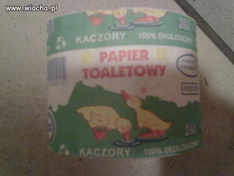 Kaczory 