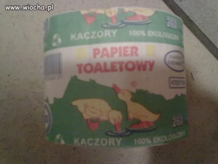 Kaczory 