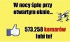 Lajki