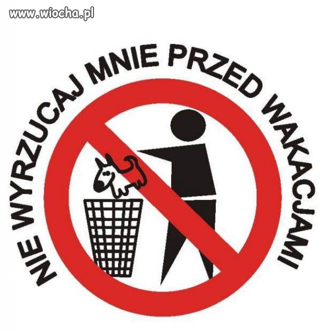 Apel do wszystkich weekendowych miłośników psów