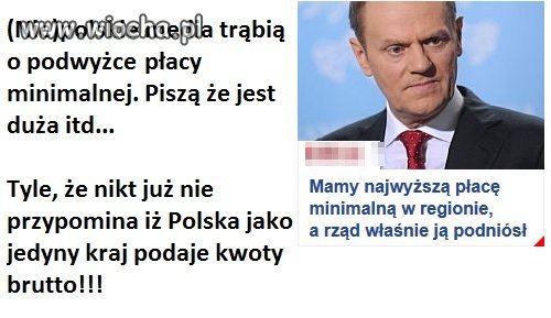 POlskie media