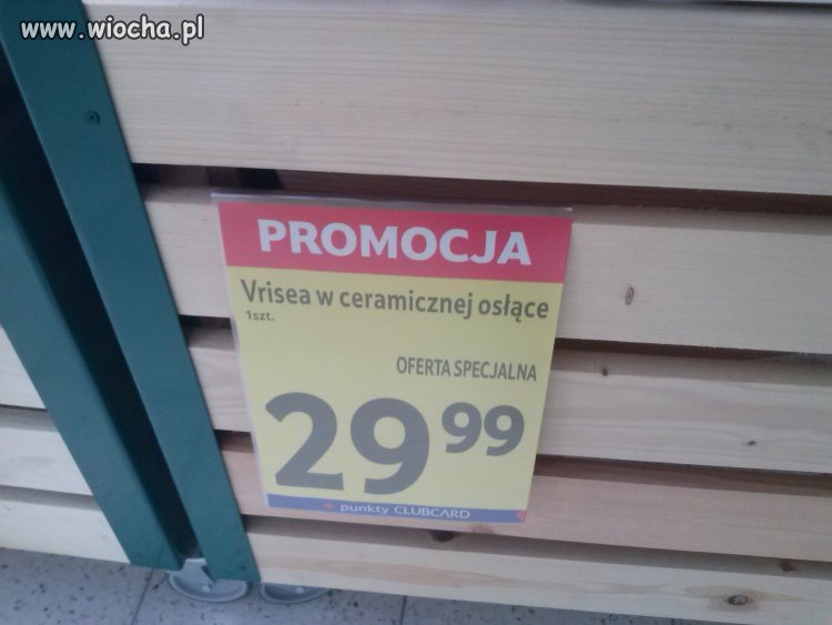 Kolejna wiocha w Tesco