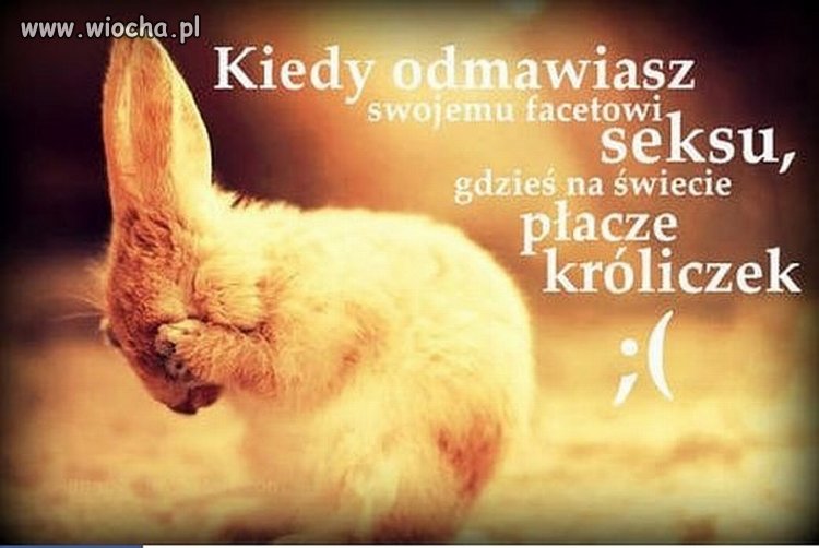 Dziewczyny