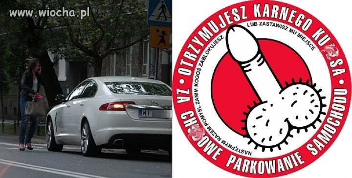Kinga Rusin znów parkuje na pasach...