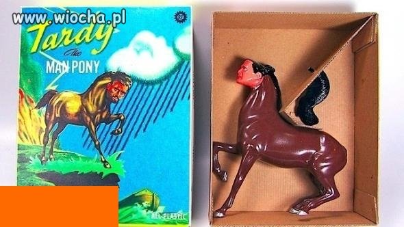 Ja pytam co to ma być??