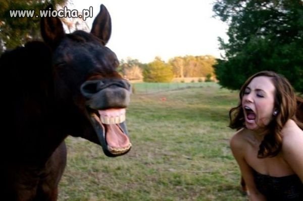 Uśmiechnij się !!!