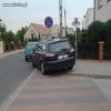 Mistrz parkowania
