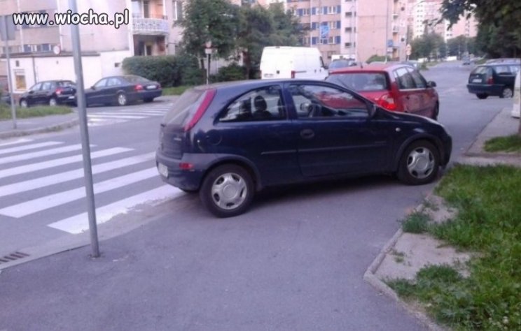 Mistrz parkowania...