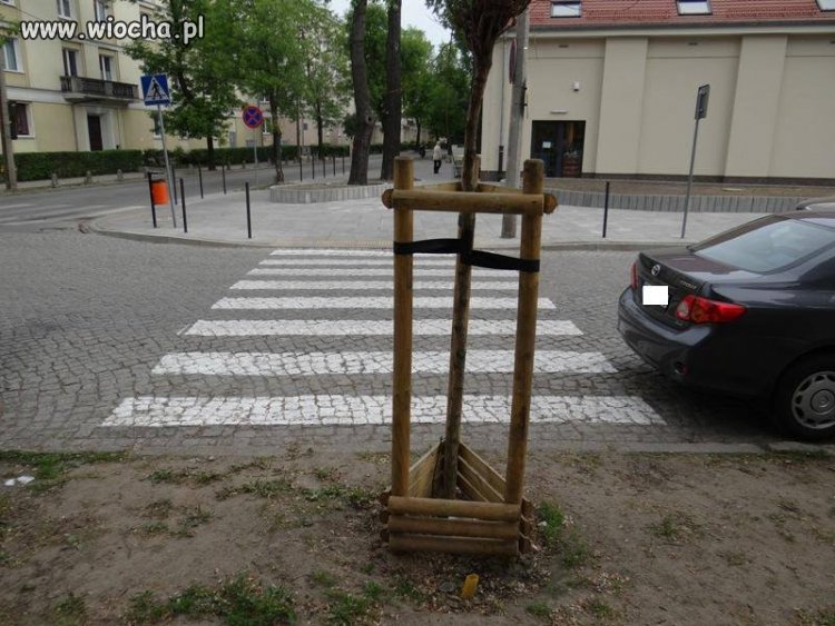 Polskie przejścia dla pieszych.